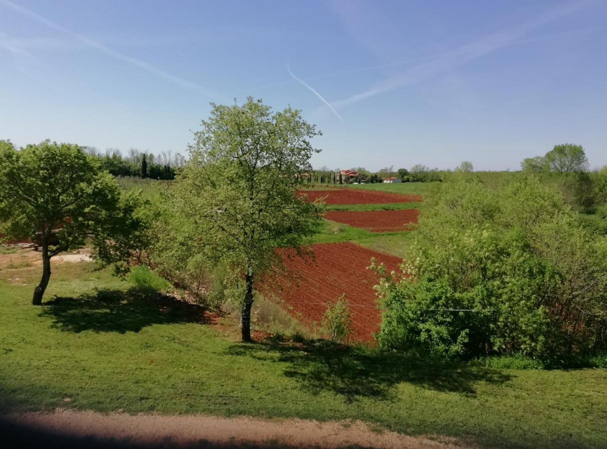Apartman Nikola Ladrovici Bagian luar foto
