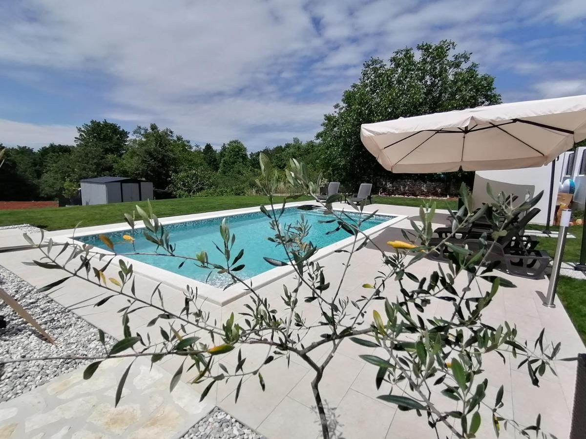 Apartman Nikola Ladrovici Bagian luar foto